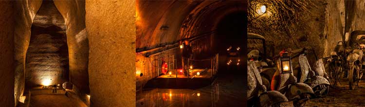 Mixed Guided Tours - Bourbon Tunnel